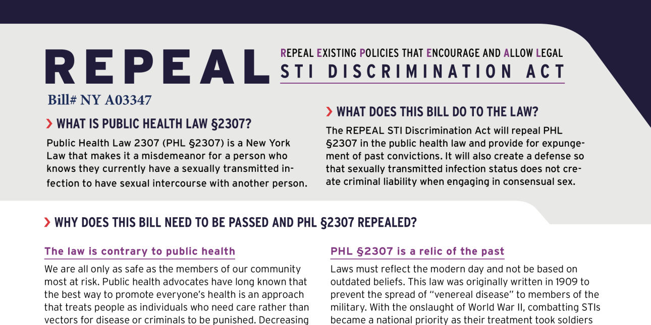 REPEAL Bill NY A03347 NY STI Decrim Coalition 2023 The